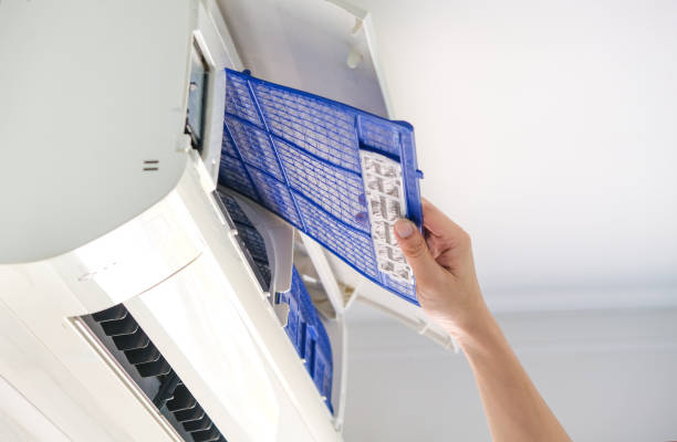 Best Local Air Duct Cleaning Services  in West Wendover, NV